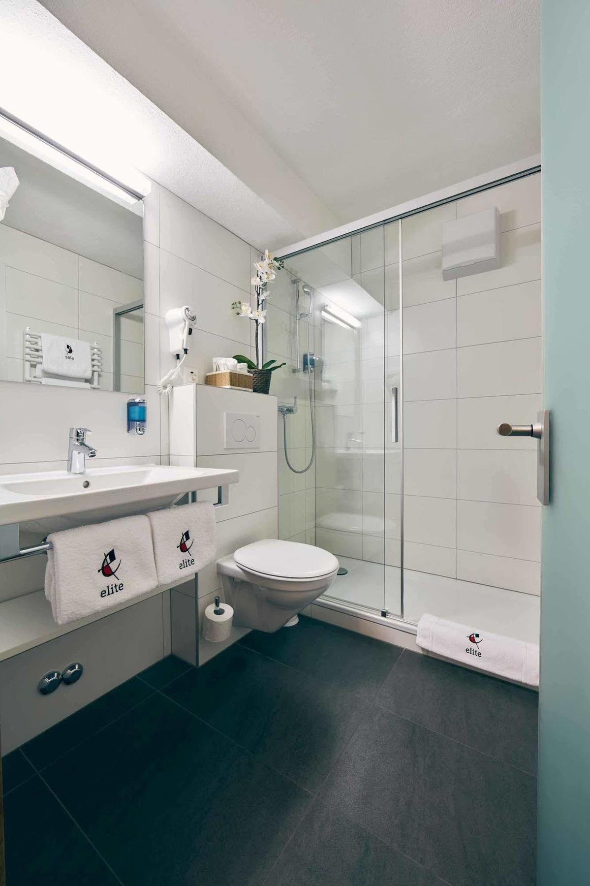 Hotel Elite Visp Zewnętrze zdjęcie